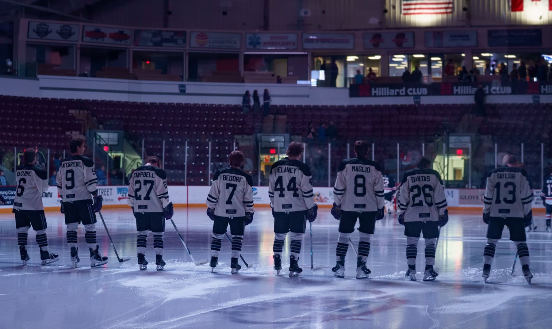 Elmira Aviators line up on the ice