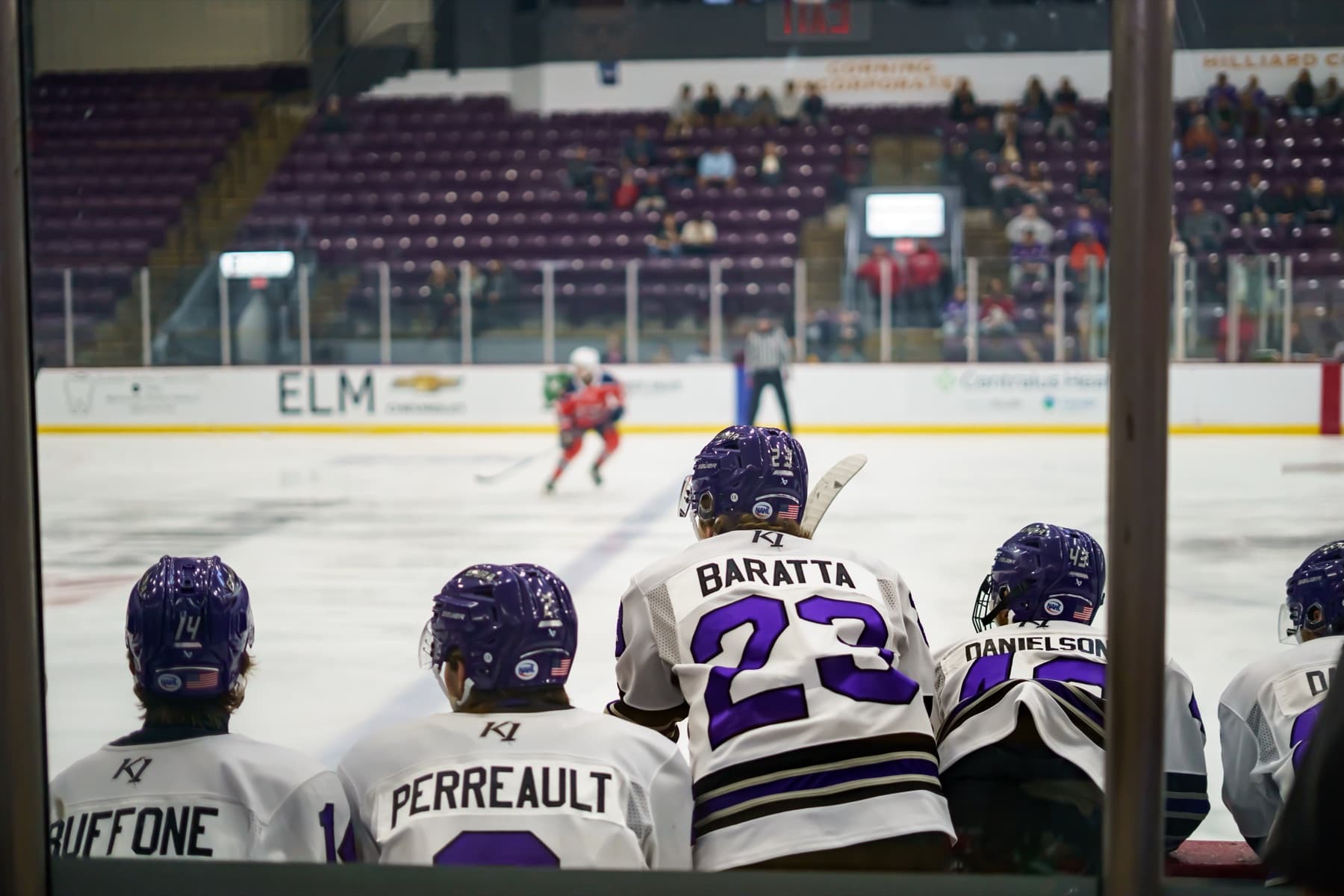 Aviators players watch from the bench